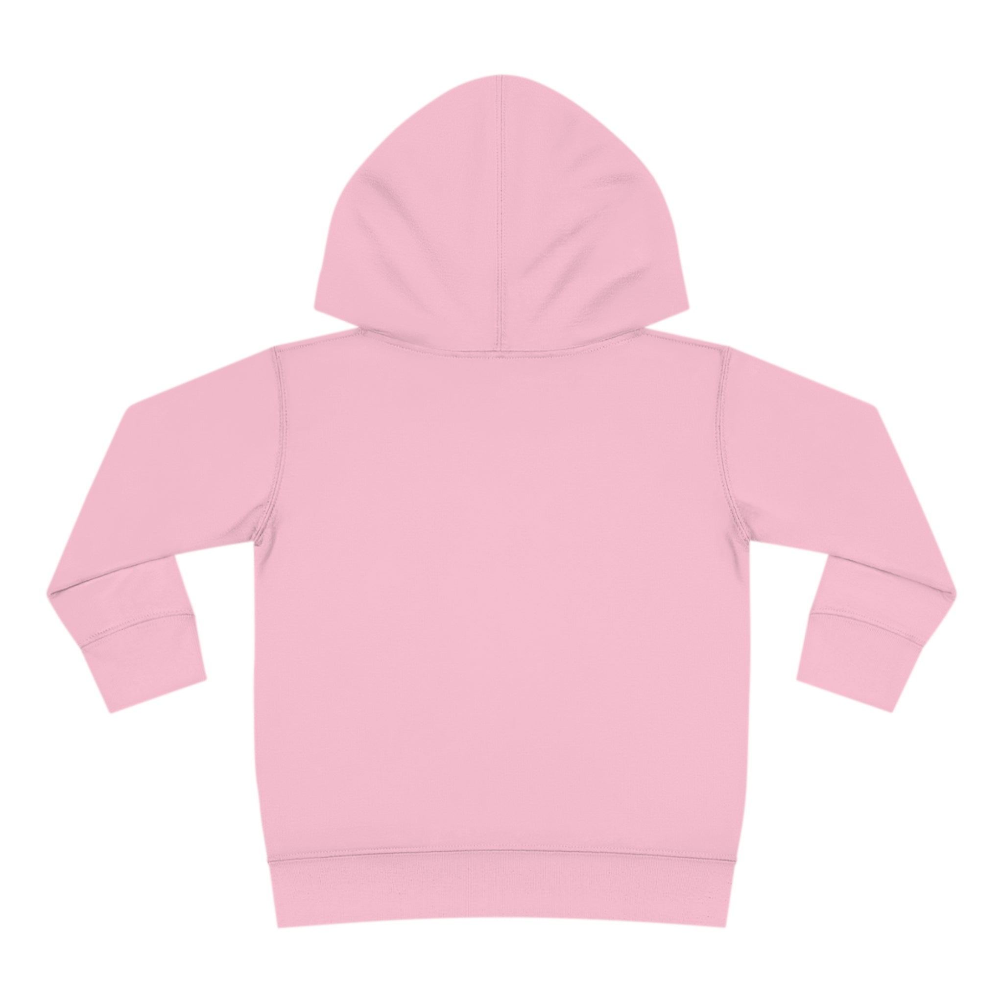 Stay In Spirit Toddler Pullover Fleece Hoodie - Stay In Spirit Shop