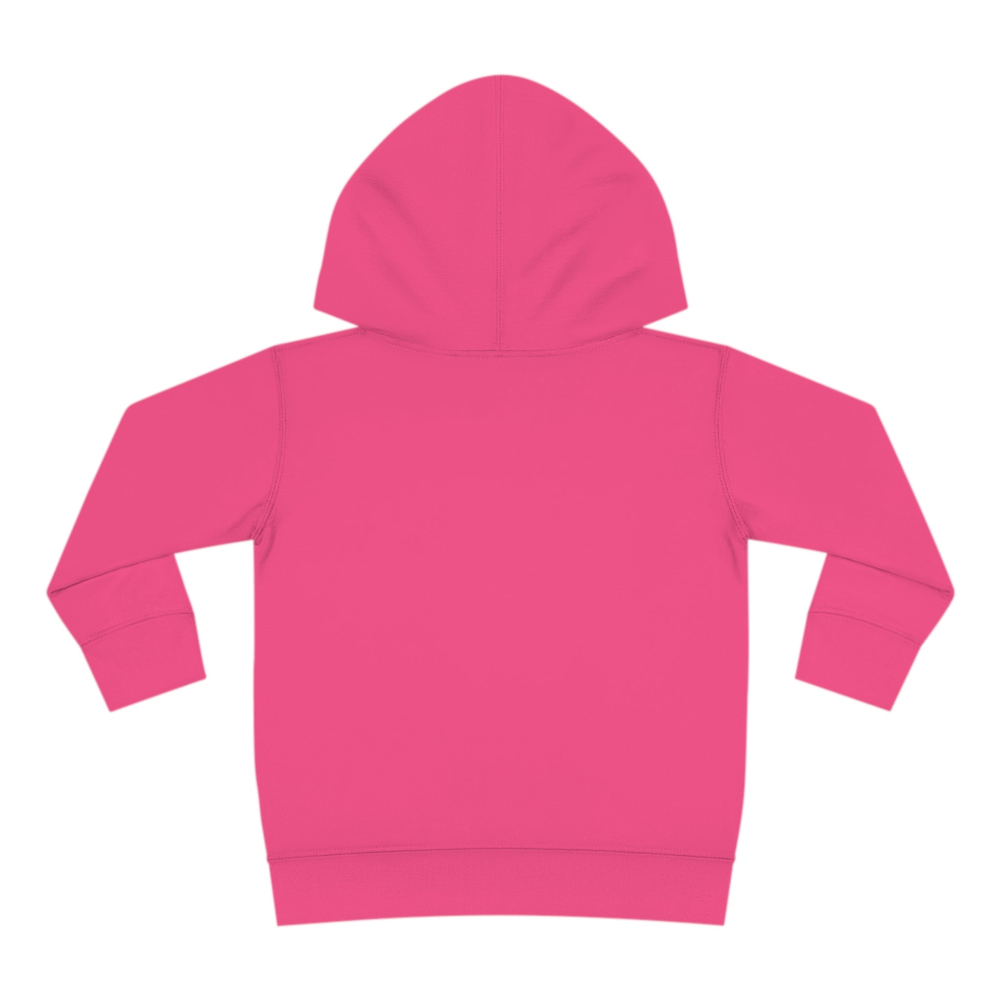 Stay In Spirit Toddler Pullover Fleece Hoodie - Stay In Spirit Shop